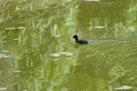 img2